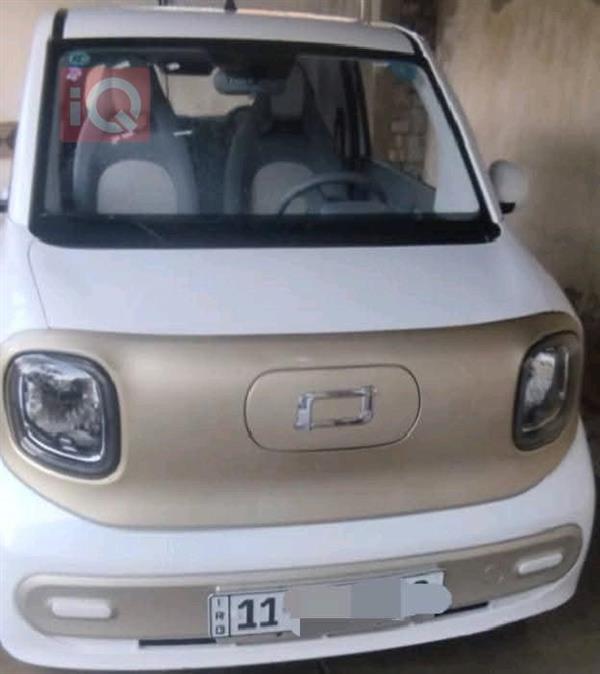 بيستون بوني 2025 للبيع في العراق -  بغداد